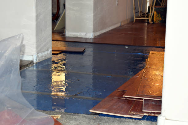 Professional Water Damage Repair technician working in Garland, ME